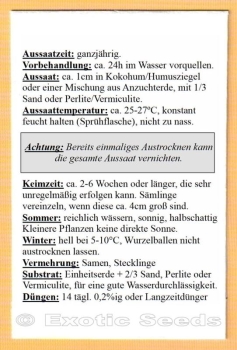 Mimusops caffra, 10 Samen